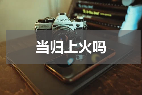 当归上火吗