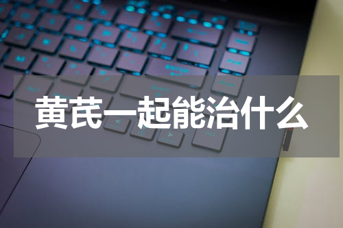 黄芪一起能治什么