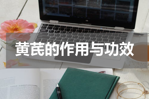 黄芪的作用与功效