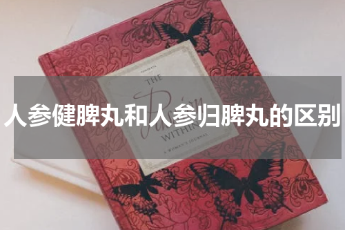 人参健脾丸和人参归脾丸的区别