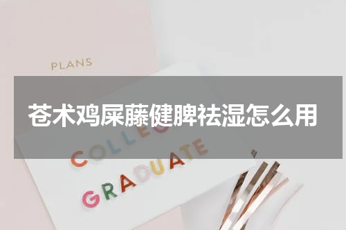 苍术鸡屎藤健脾祛湿怎么用