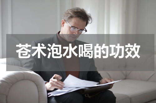 苍术泡水喝的功效