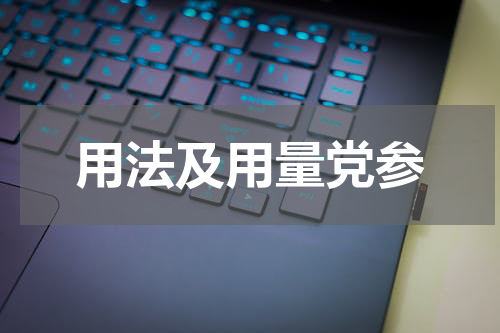 用法及用量党参