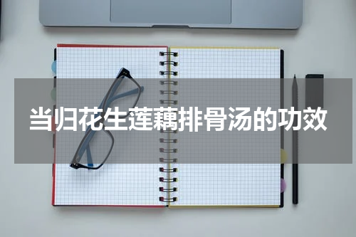当归花生莲藕排骨汤的功效