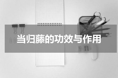 当归藤的功效与作用