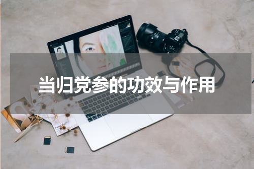当归党参的功效与作用
