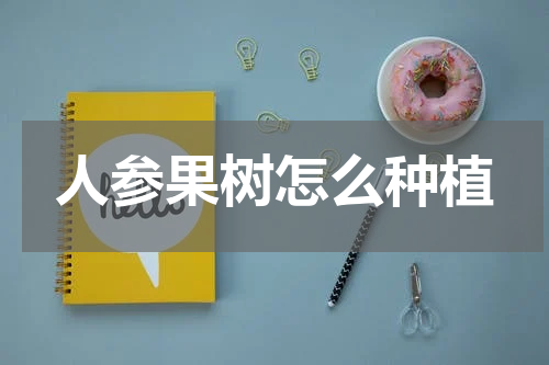人参果树怎么种植