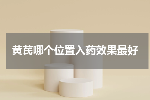 黄芪哪个位置入药效果最好