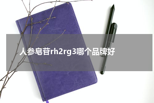 人参皂苷rh2rg3哪个品牌好