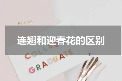连翘和迎春花的区别