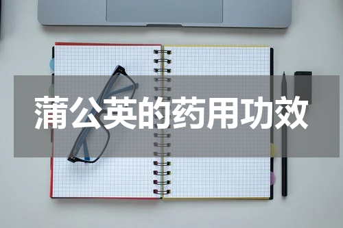 蒲公英的药用功效