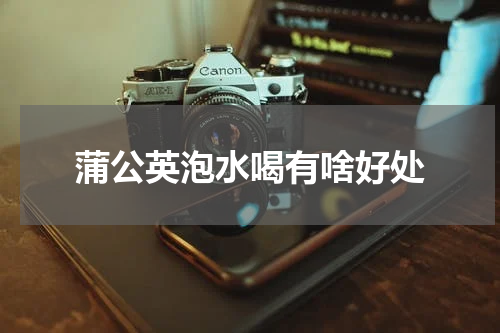 蒲公英泡水喝有啥好处