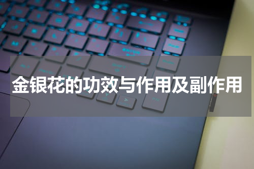 金银花的功效与作用及副作用