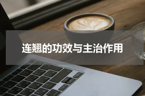 连翘的功效与主治作用