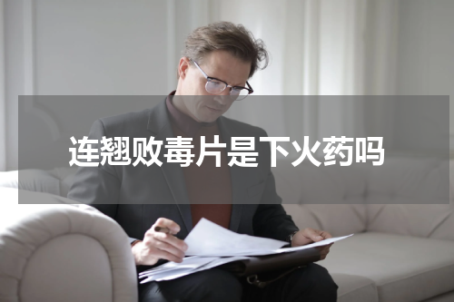连翘败毒片是下火药吗