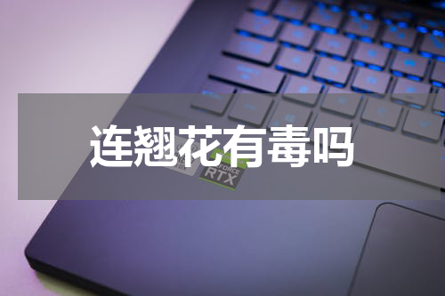 连翘花有毒吗