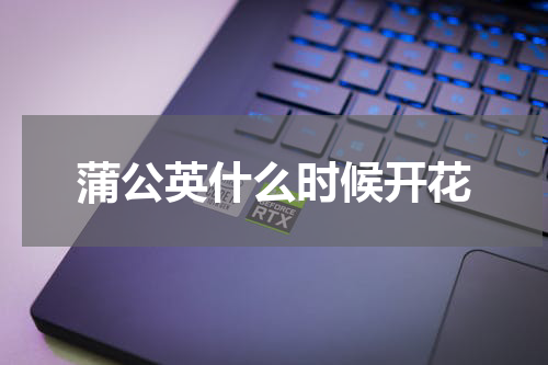 蒲公英什么时候开花