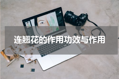 连翘花的作用功效与作用