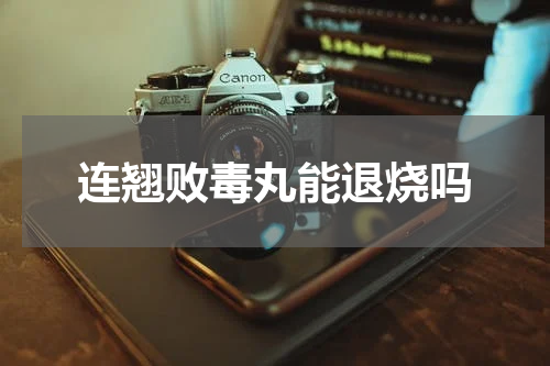 连翘败毒丸能退烧吗