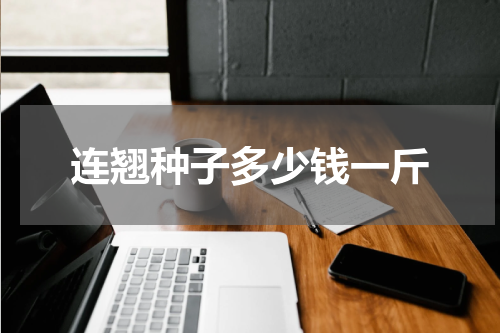连翘种子多少钱一斤