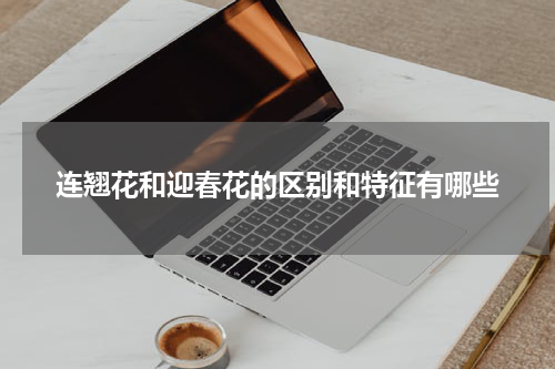 连翘花和迎春花的区别和特征有哪些