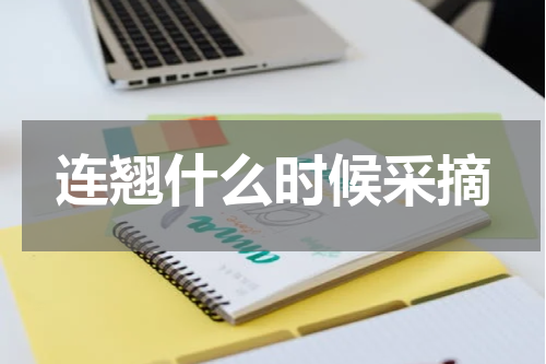 连翘什么时候采摘