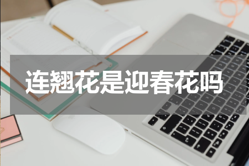 连翘花是迎春花吗