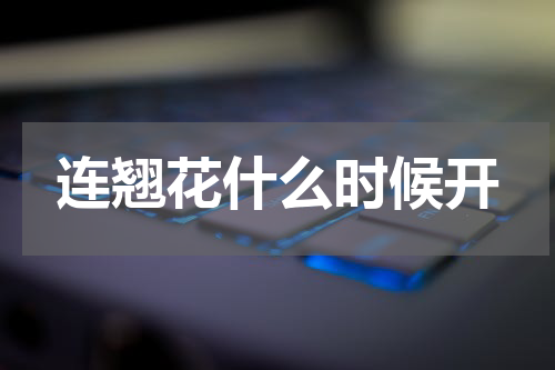连翘花什么时候开
