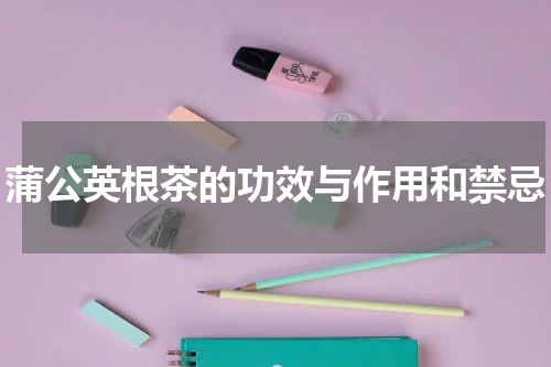 蒲公英根茶的功效与作用和禁忌