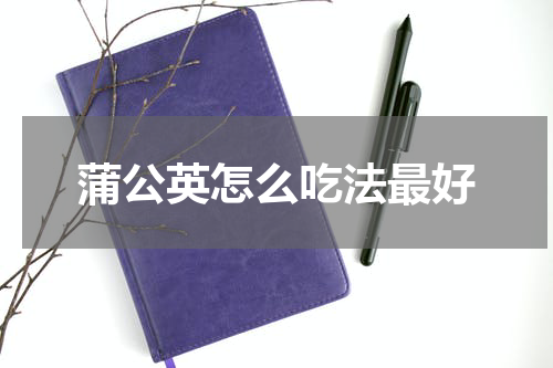 蒲公英怎么吃法最好
