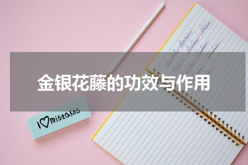 金银花藤的功效与作用