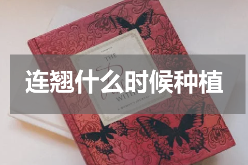 连翘什么时候种植