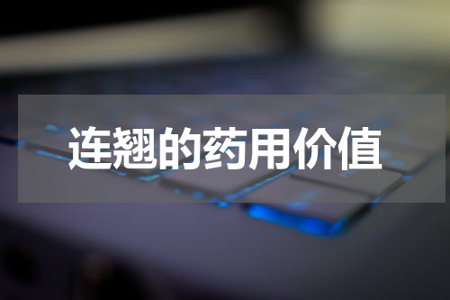 连翘的药用价值