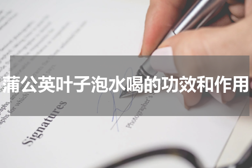 蒲公英叶子泡水喝的功效和作用
