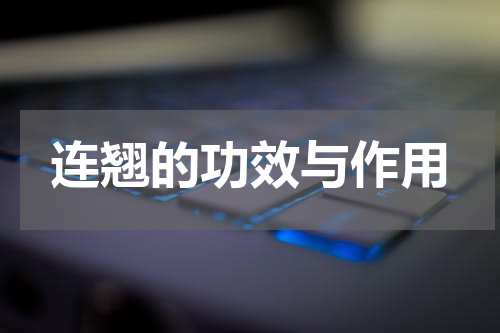 连翘的功效与作用