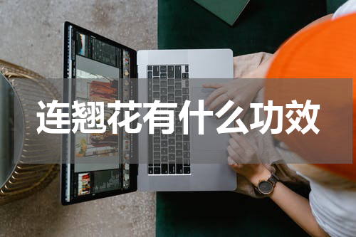 连翘花有什么功效