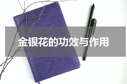 金银花的功效与作用