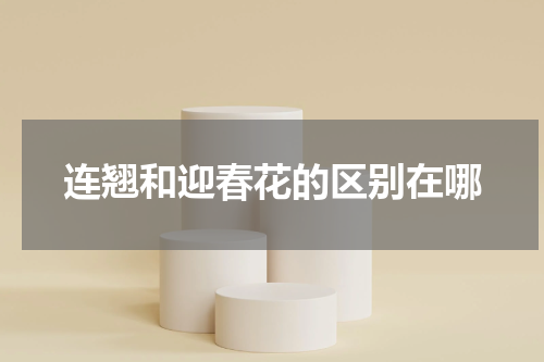 连翘和迎春花的区别在哪