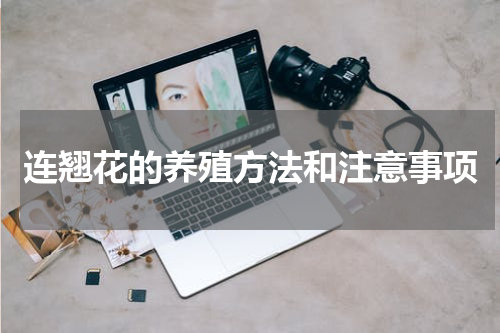 连翘花的养殖方法和注意事项
