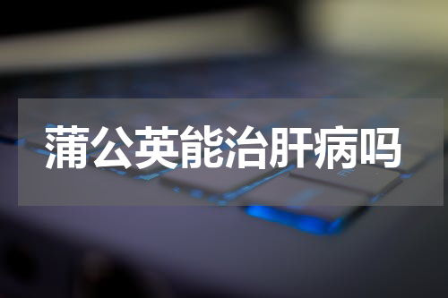 蒲公英能治肝病吗