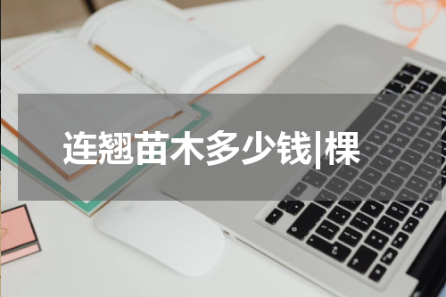 连翘苗木多少钱|棵