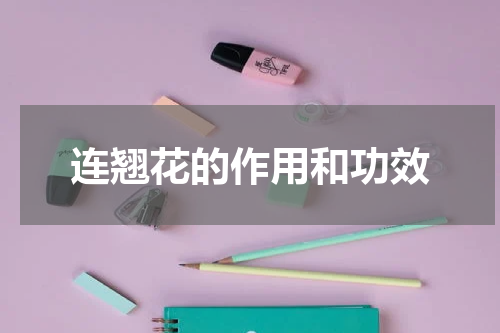连翘花的作用和功效