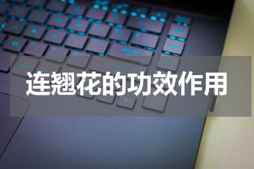 连翘花的功效作用