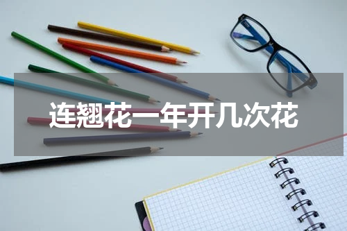 连翘花一年开几次花