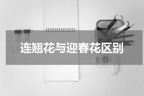 连翘花与迎春花区别