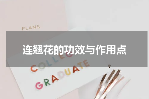 连翘花的功效与作用点