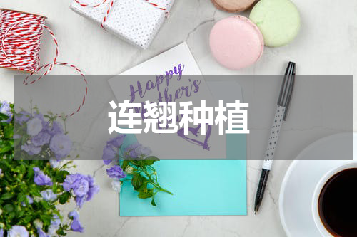 连翘种植