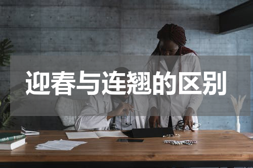 迎春与连翘的区别