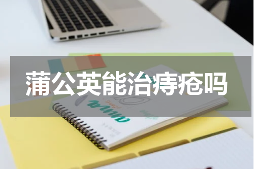 蒲公英能治痔疮吗