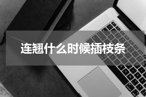 连翘什么时候插枝条